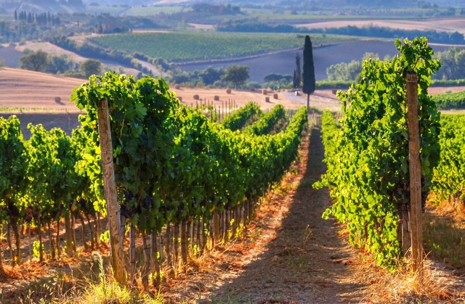 Тоскана Италия винодельни