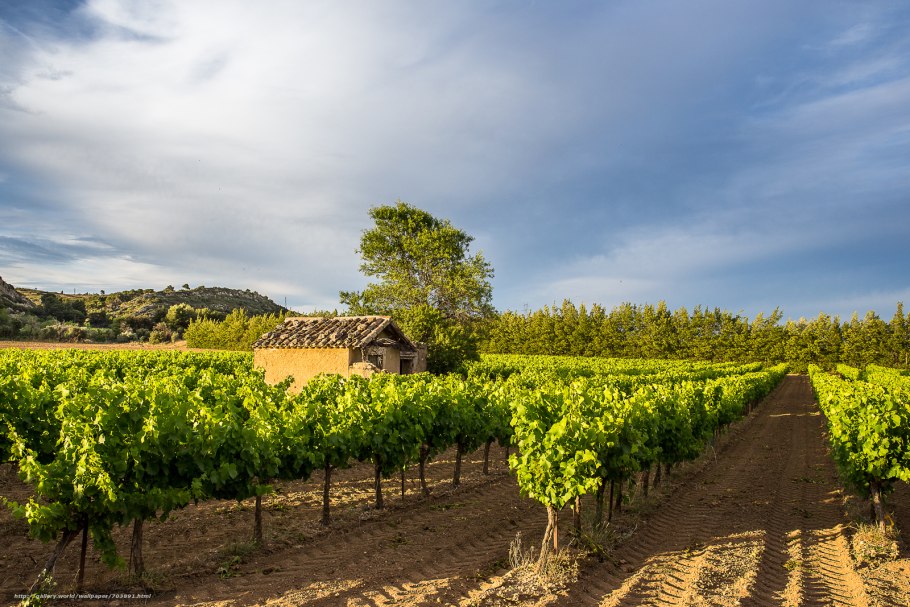 Виноградная Долина Люксембург