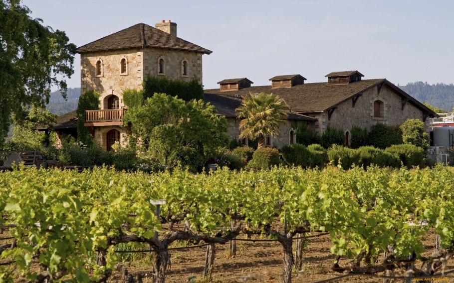 Долина виноделия Напа