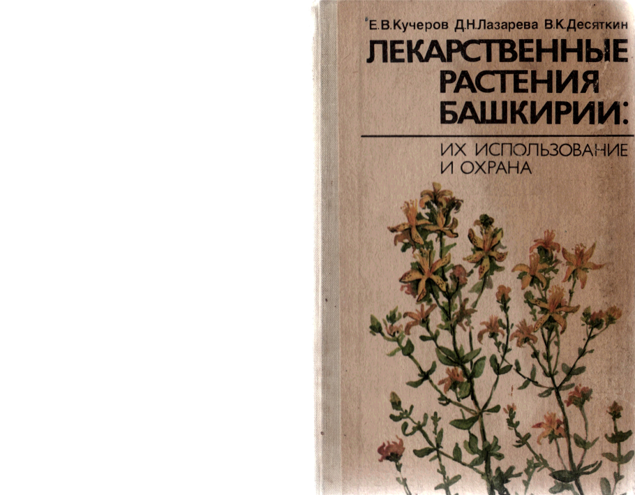 Крымский адонис весенний