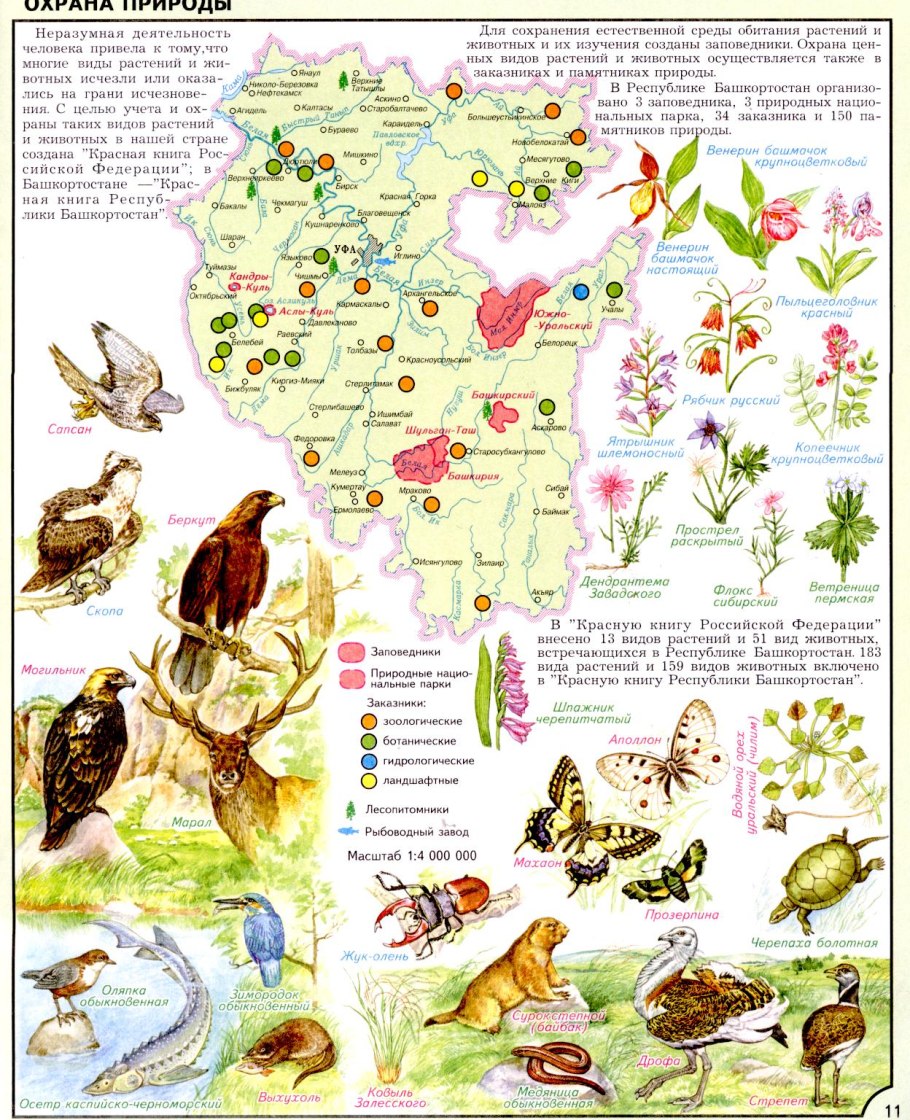 Животный мир Башкирии карта