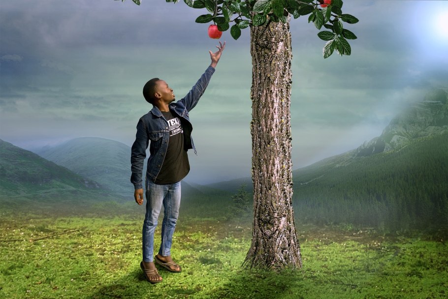 Человек на верхушке дерева