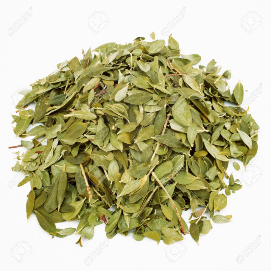 Гута кола растение фото