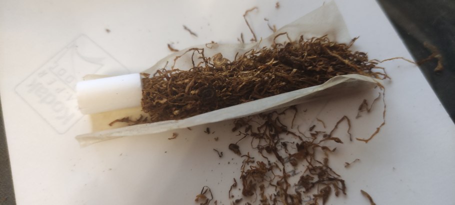 Пчела листорез кокон