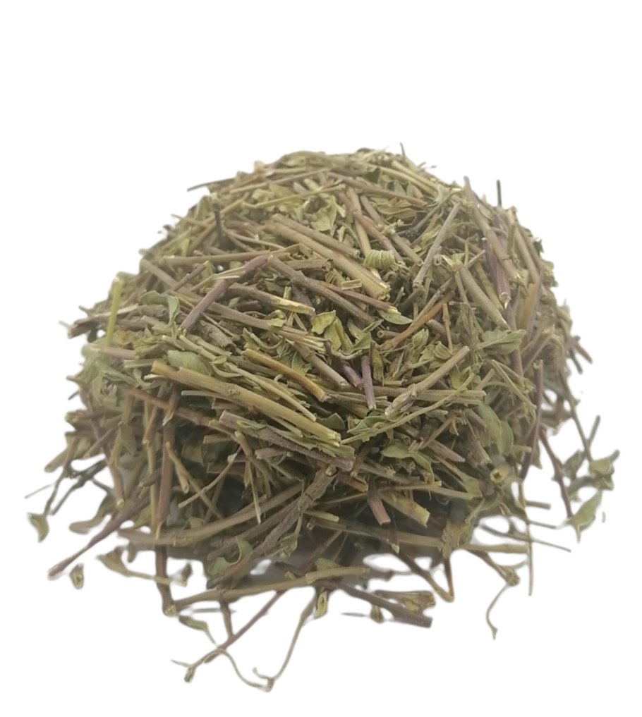 Зизифора клиноподиевидная