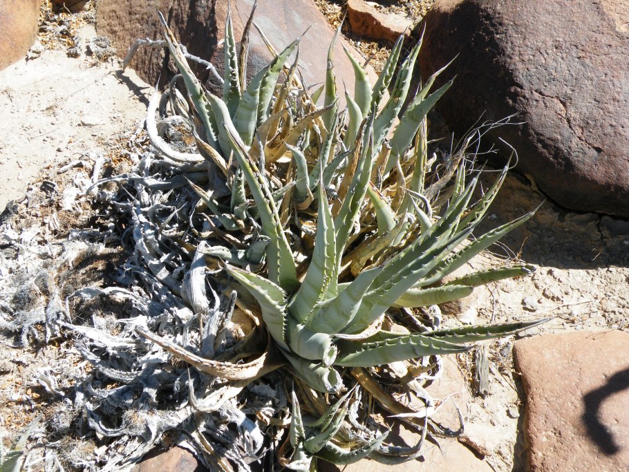 Люстра Freya Esme fr1005pl-05g