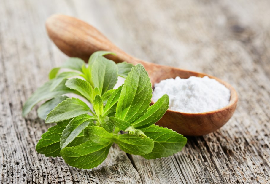 Stevia rebaudiana