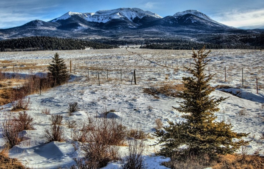 Арктическая тундра Сибирь