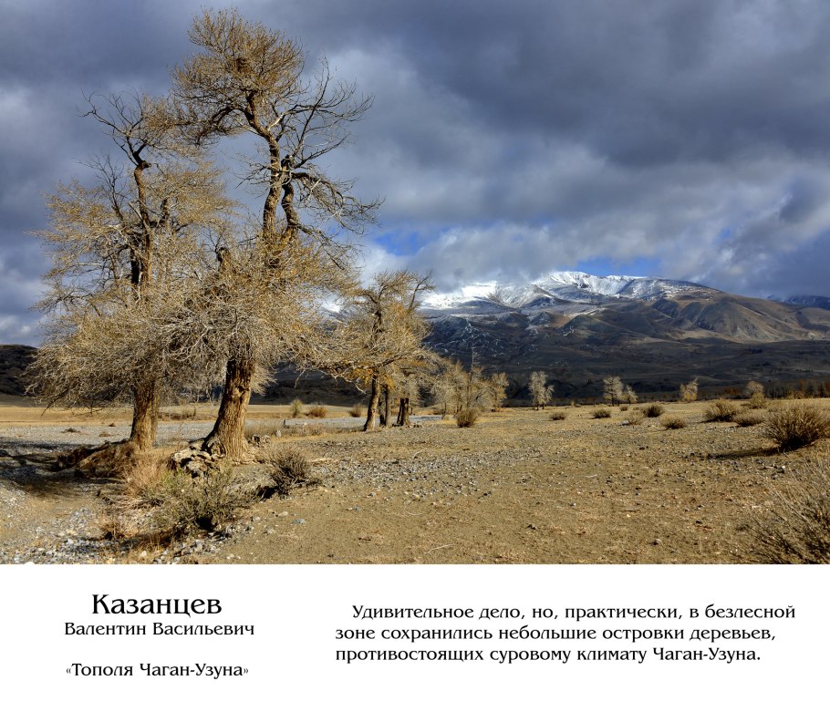 Полупустыни России