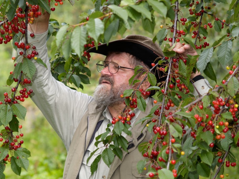«Зимний сад» оранжерея Пэктон
