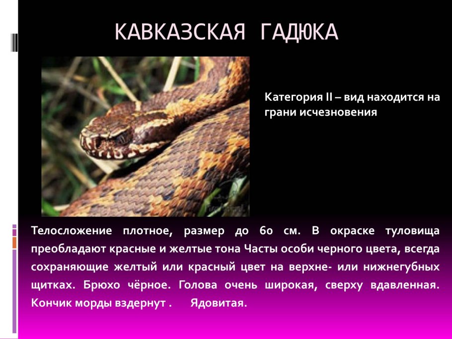 Красная книга Краснодарского края книга обложка