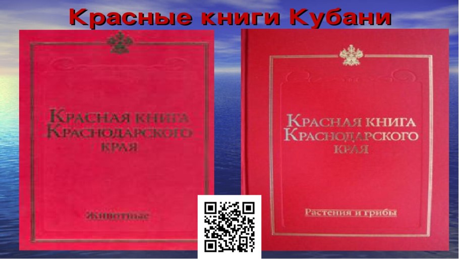 Растительность Краснодарского края