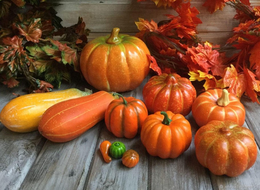 Тыква огурец дыня семейство