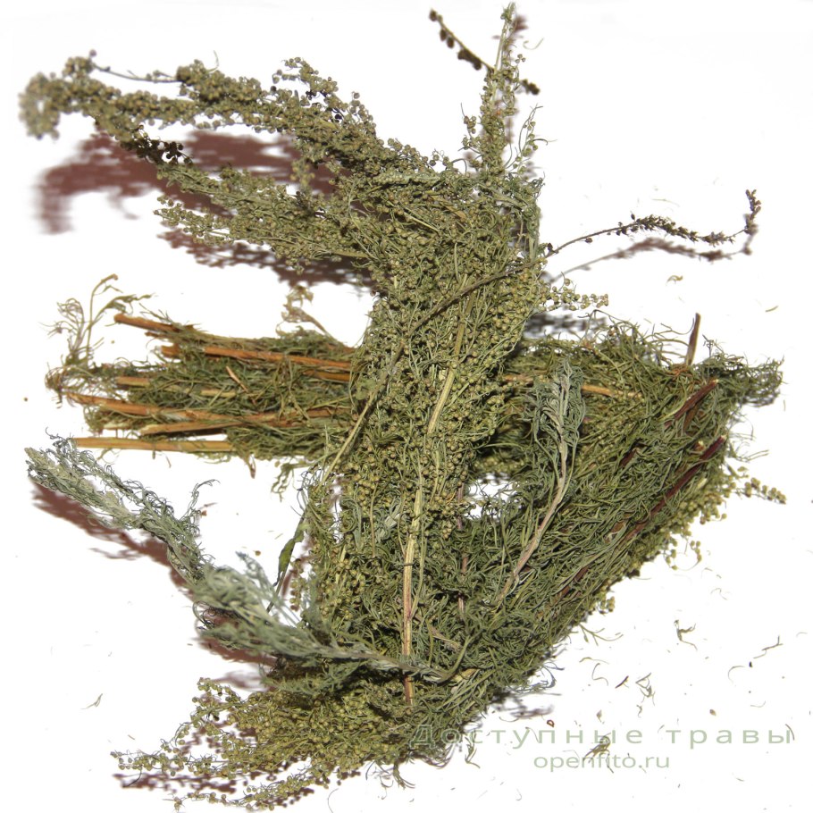 Цвет полыни фото