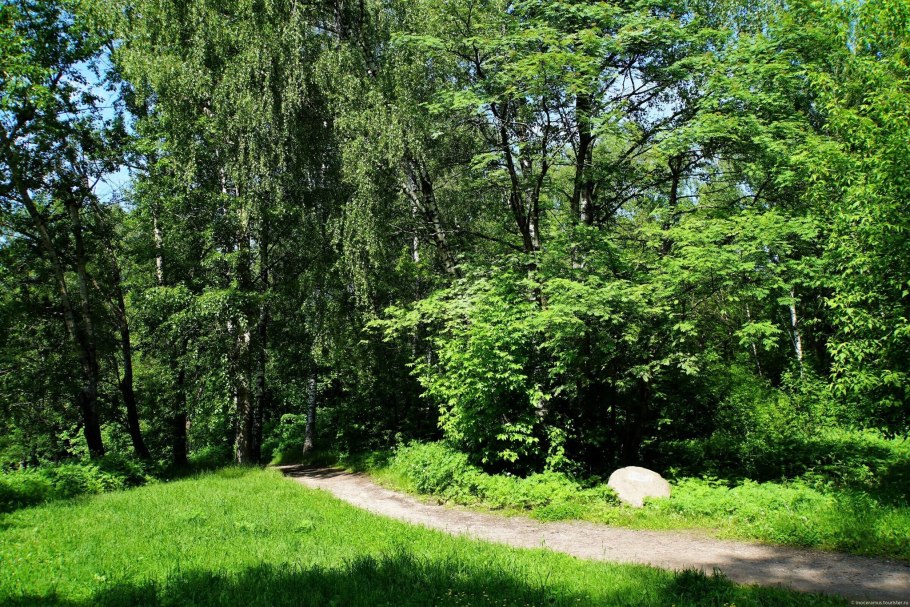 Кусково (лесопарк)