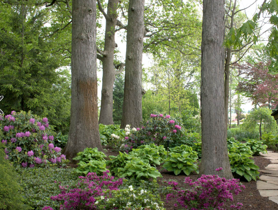 Лесной пейзажный стиль