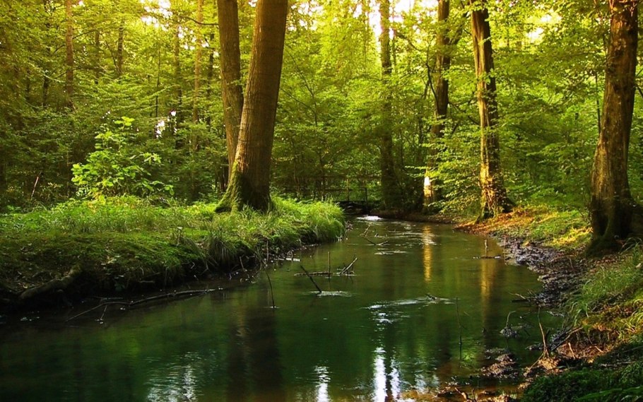 Беловежская пуща заповедник туристическая тропа