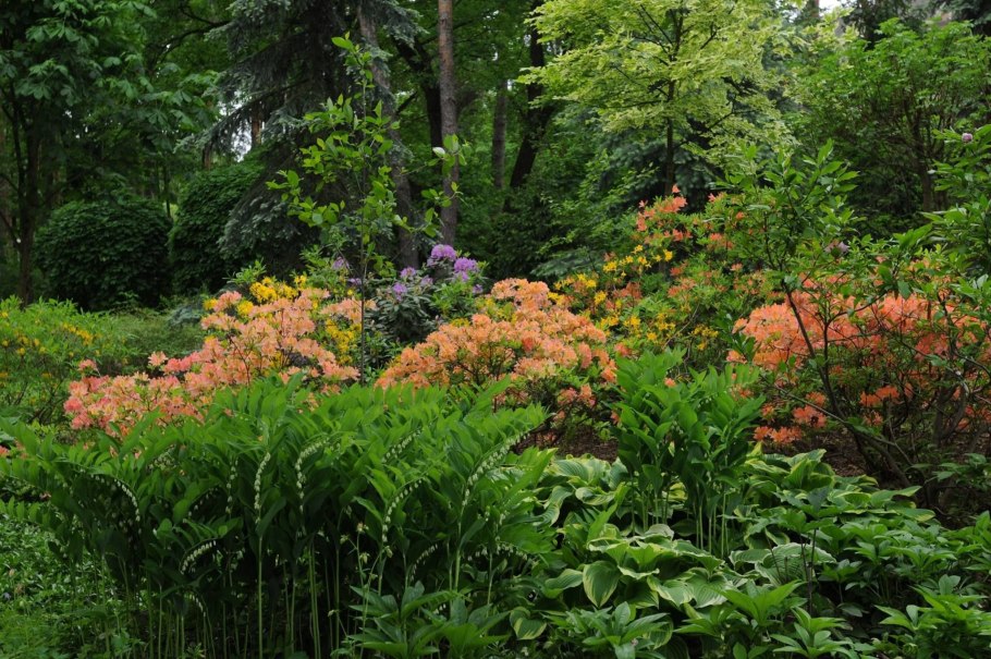 Владимир Колесник ландшафтный дизайнер