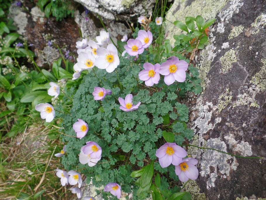 Хакасский заповедник Хакасия