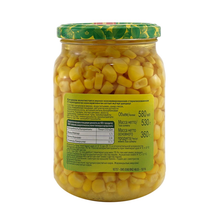 Королевские опята чешуйчатка золотистая