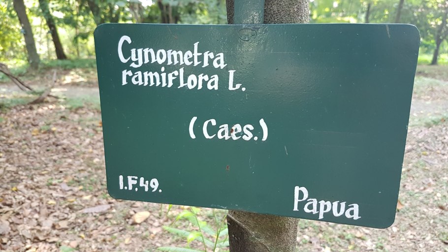 Тонометр little Doctor LD-100