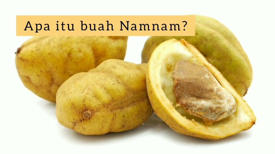 Эми Андерсон гиф