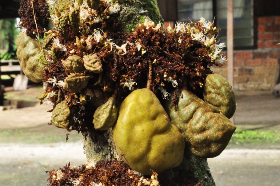 Вакцина от коронавируса Covid-19.