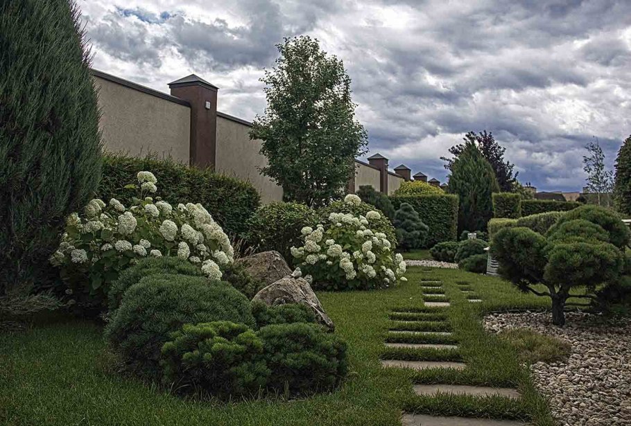 Регулярный сад Ильи Васецкого