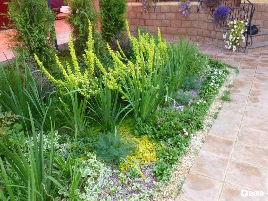 Статица Пурпл