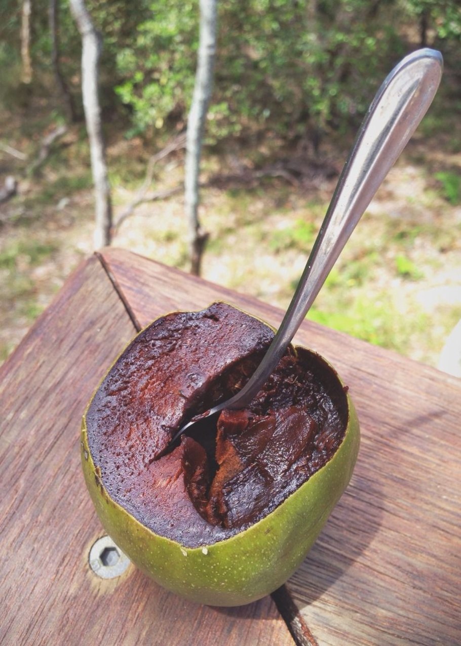 Мармеладное дерево сапота