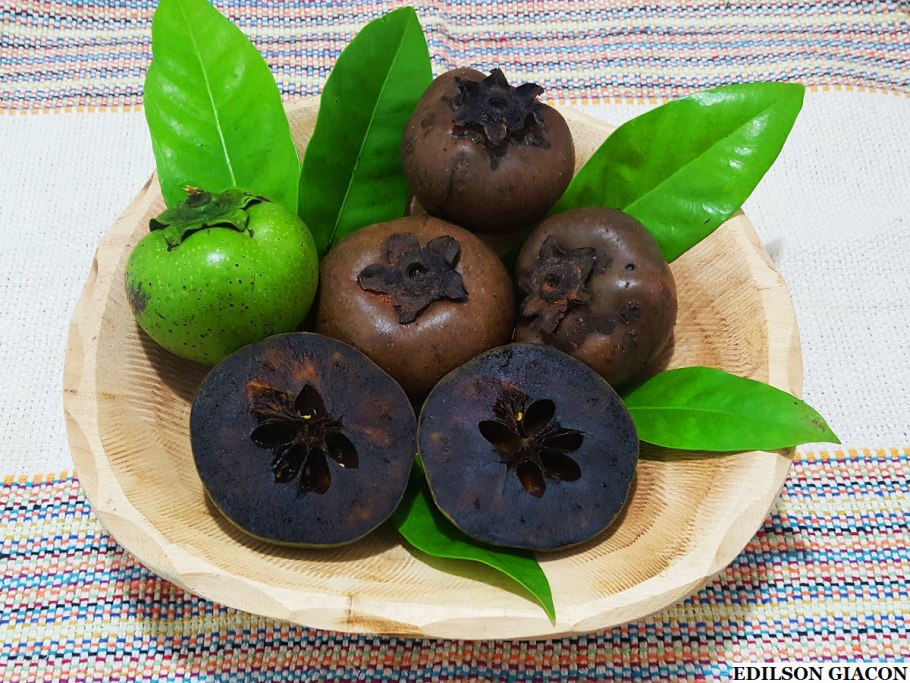 Хурма чёрная сапота чёрная