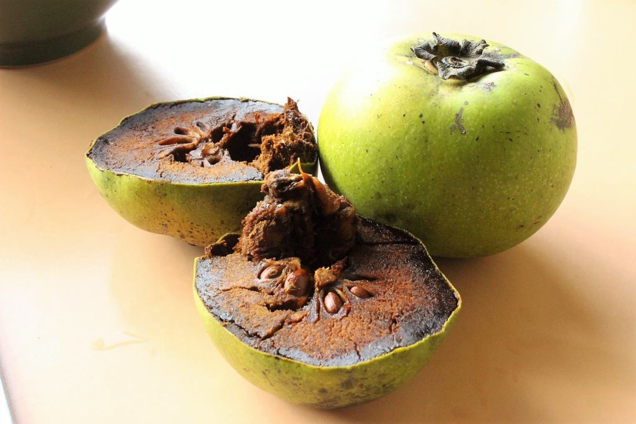 Черная сапота или черная хурма