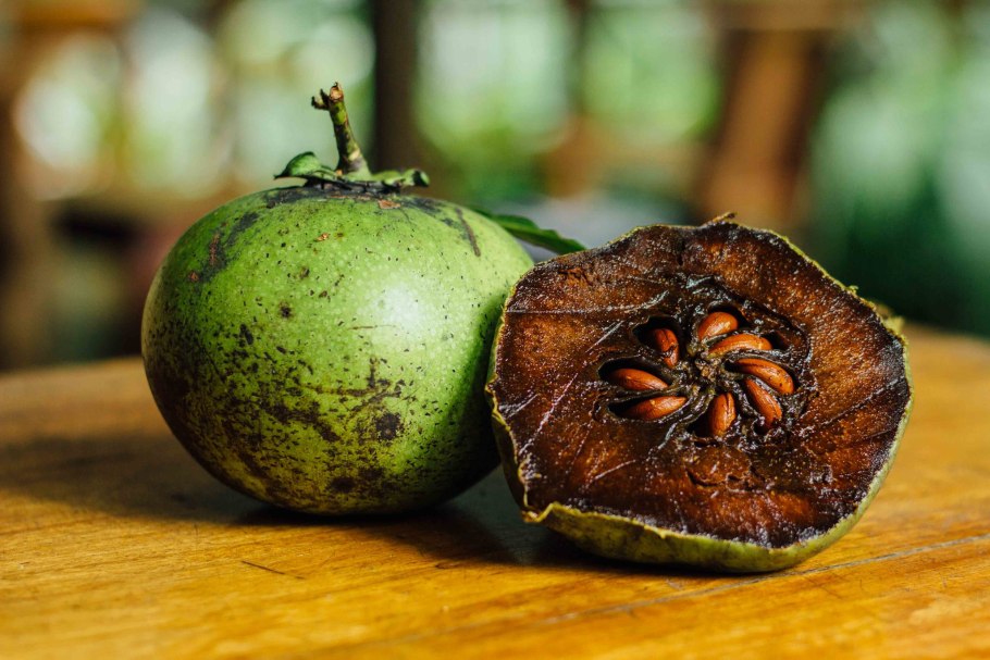 Черная сапота хурма