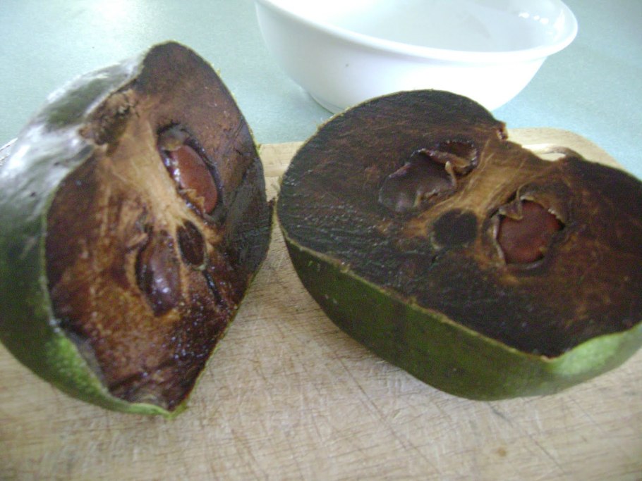 Diospyros crassiflora