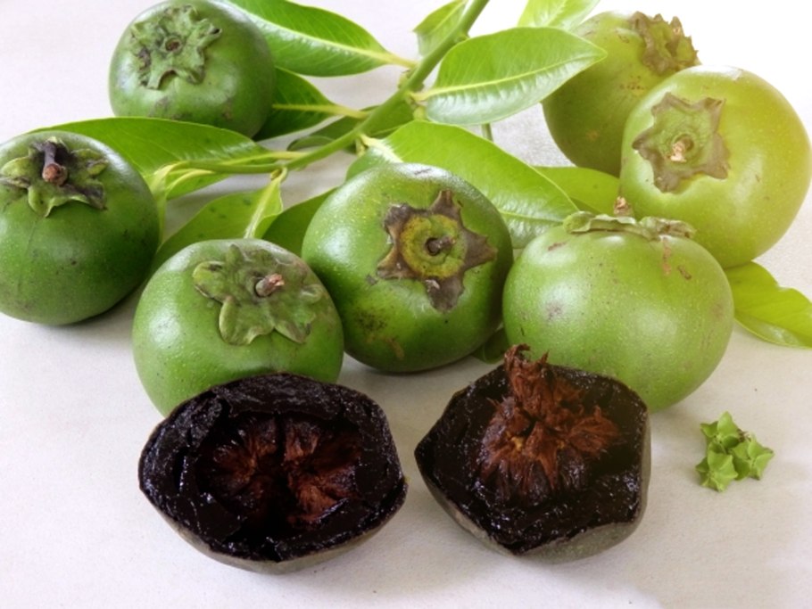 Фрукт черная сапота