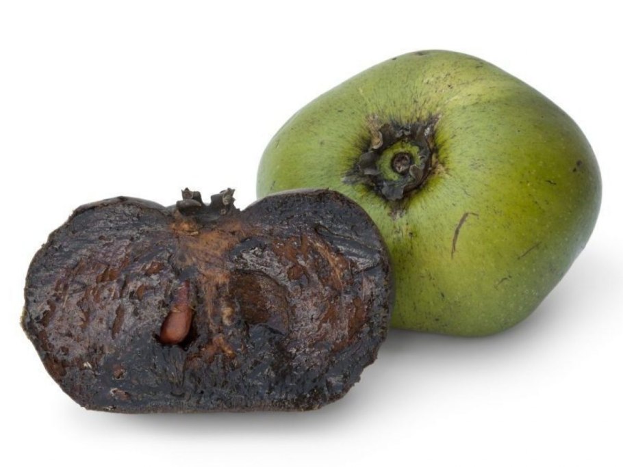 Чёрная сапота купить