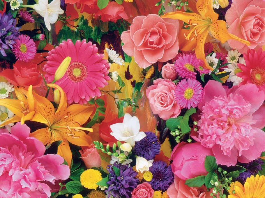 Яркие цветы