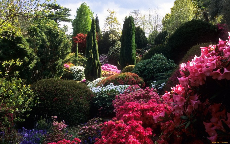 Букеты цветов и россыпь