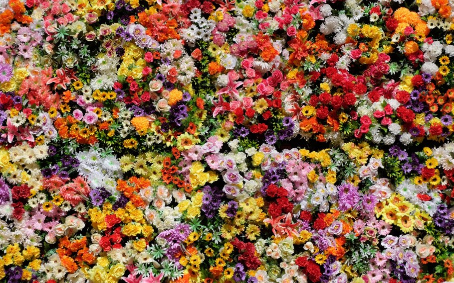 Разные виды цветов