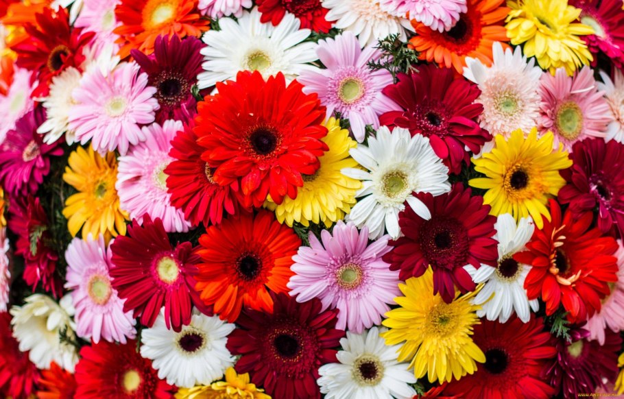 Цветочный коллаж