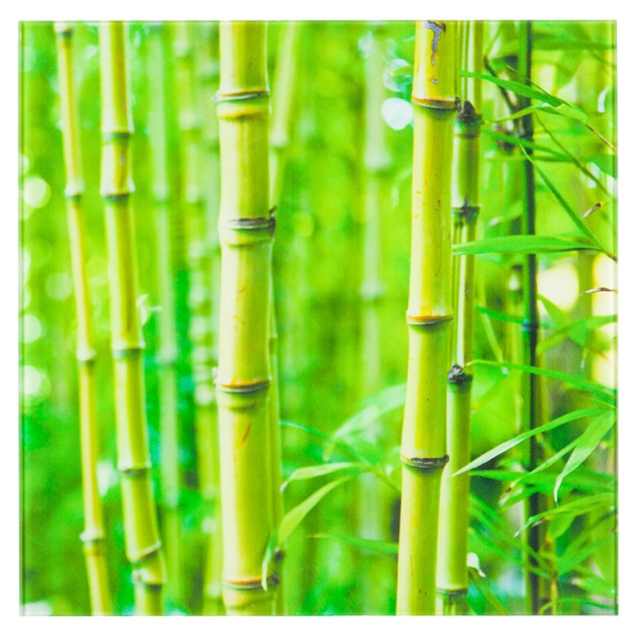 Таманский бамбук