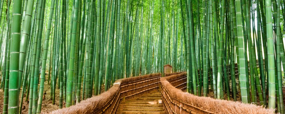 Бамбуковая палка