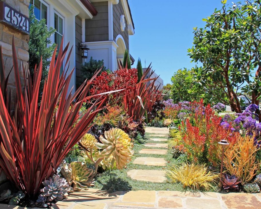 Формиум Тенакс