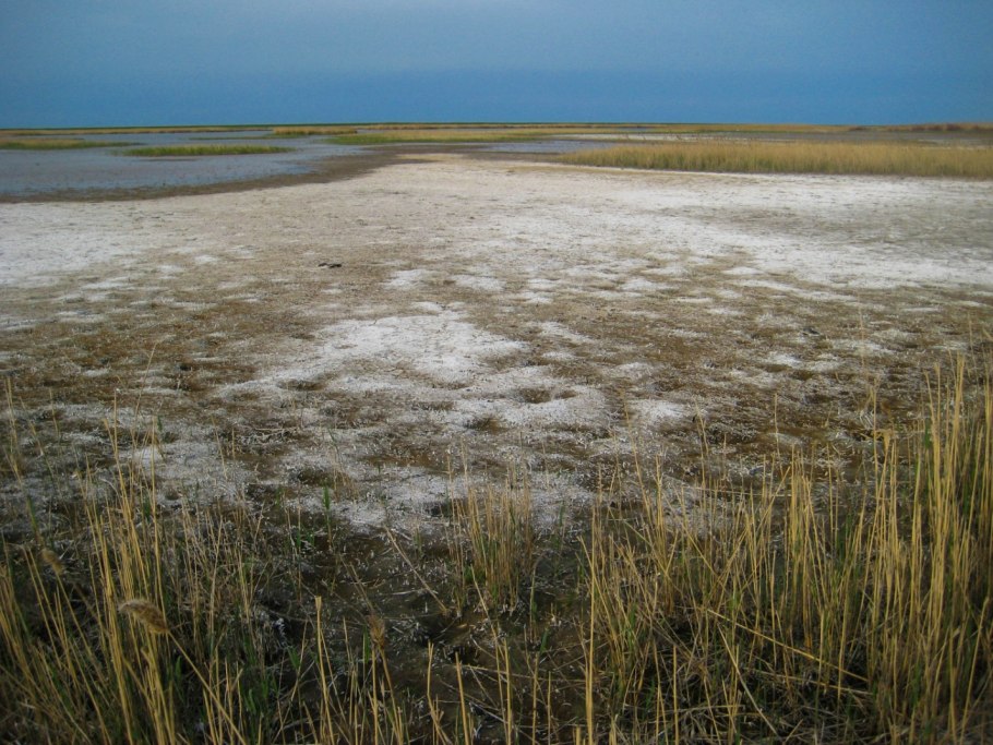 Озеро булухта волгоградской области
