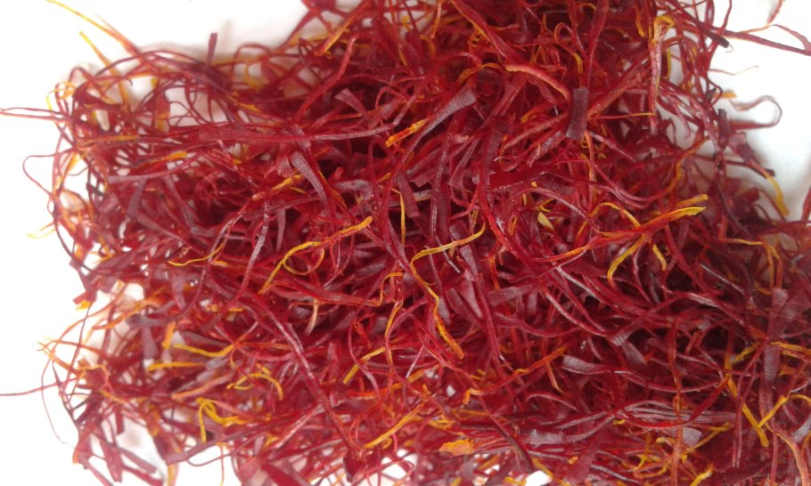 Шафран узколистный