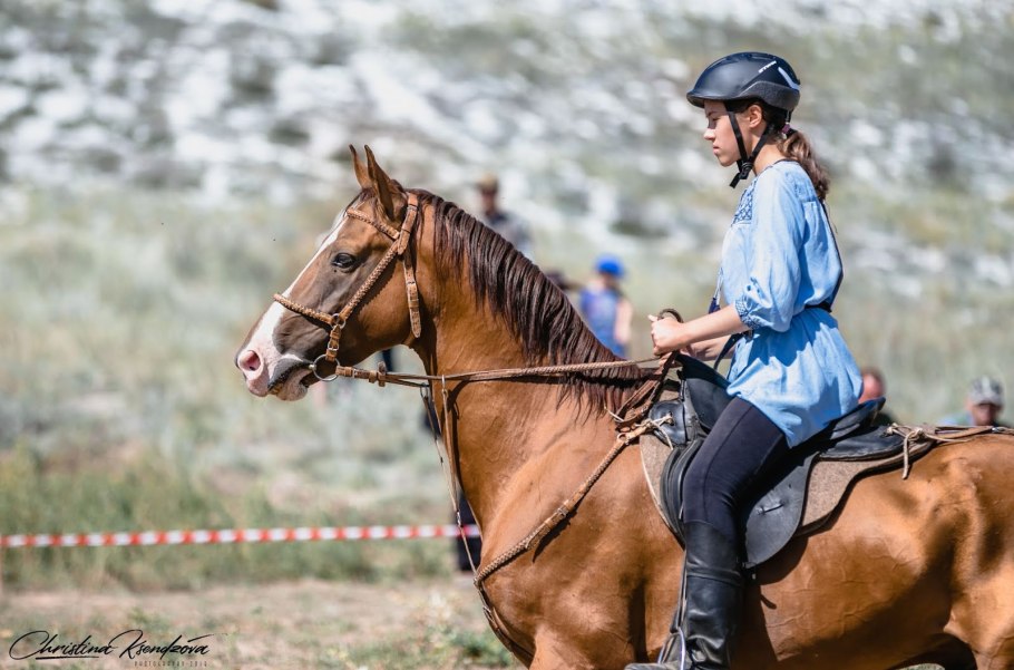 Гипсофила ползучая Альба