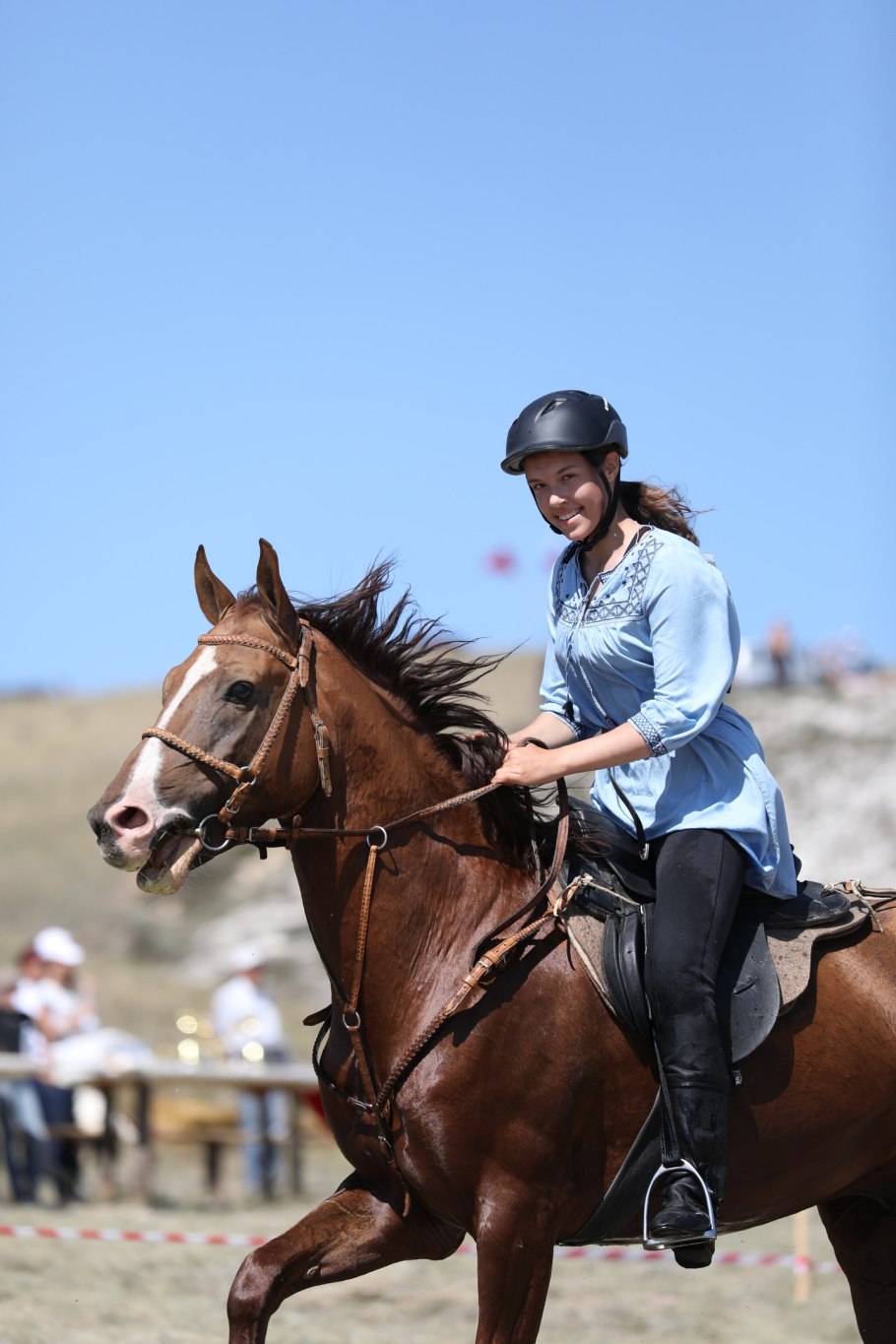 Чемпионы Донской породы