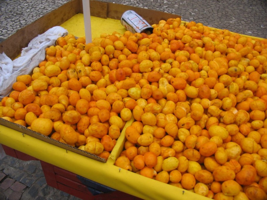 Кариокар бразильский