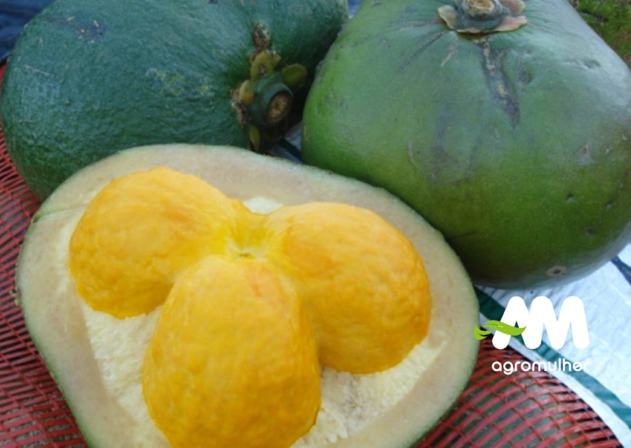 Фрукт пеки Бразилия