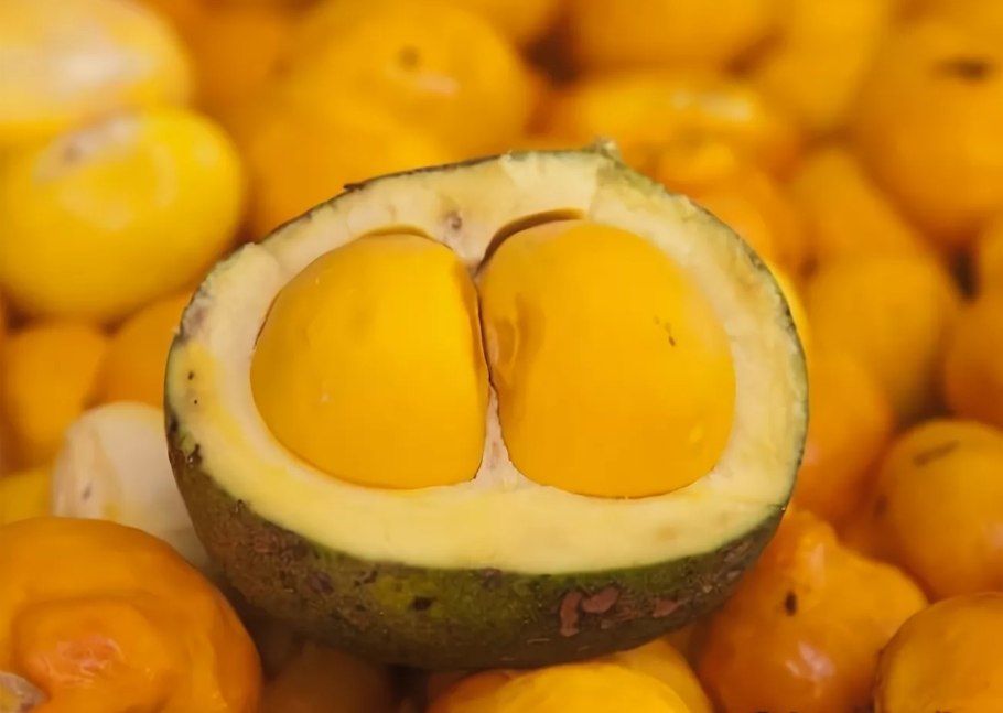 Caryocar Brasiliense